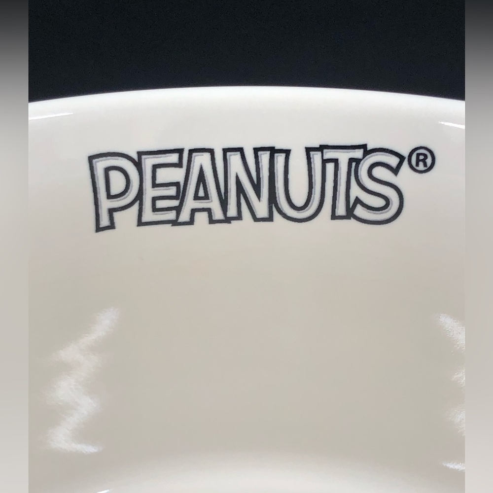 Rae Dunn Peanuts Pet Dog Bowl Halloween Spooktacular Snoopy & Woodstock - Picture 9 of 16